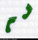 image-green-footstep